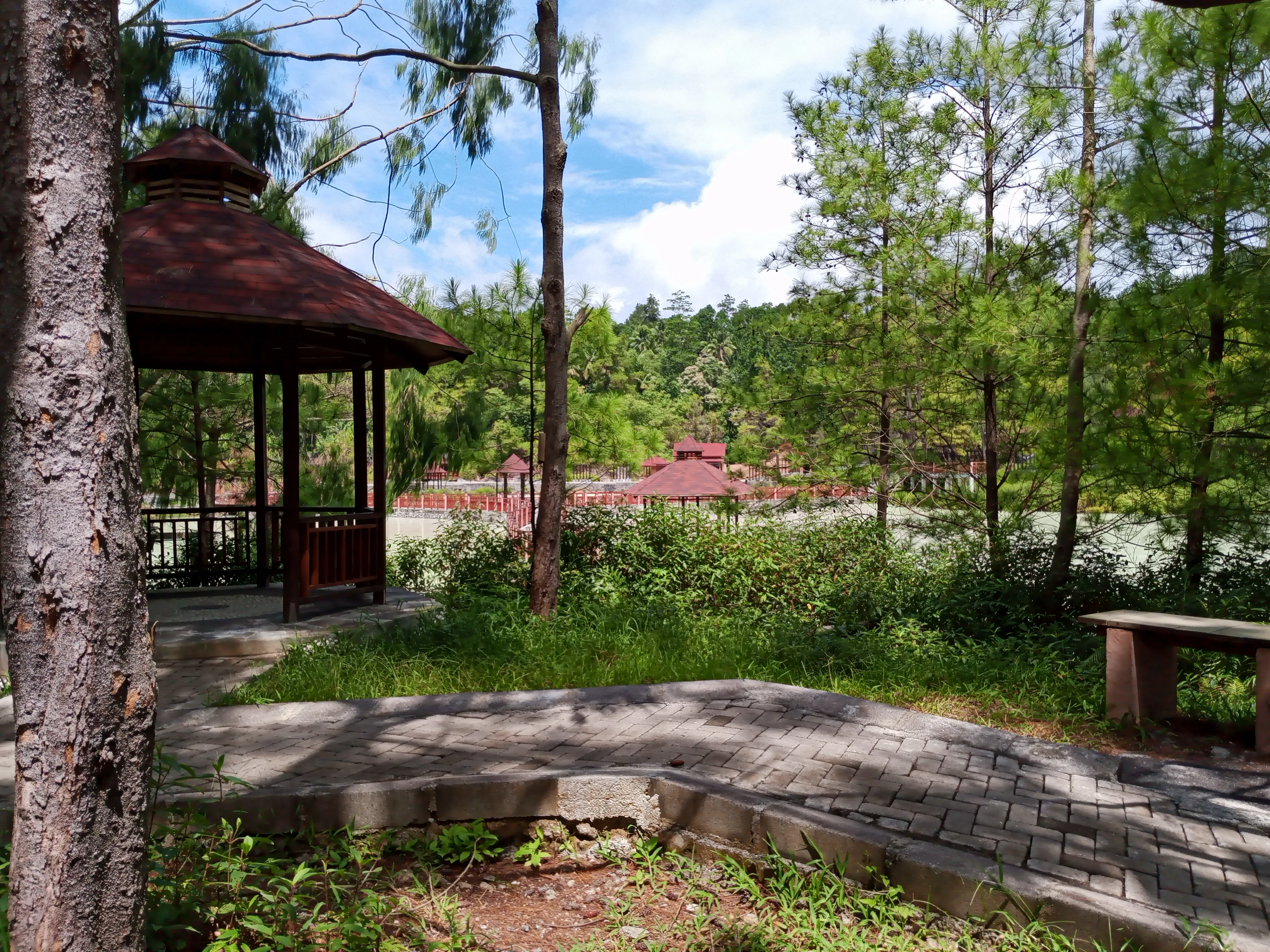 Hutan Pinus Lahendong